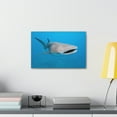 thumbnail image 3 of Whale Shark Hunting Whale Shark on Hunt Print Animal Wall Art Wildlife Canvas Prints Wall Art Ready to Hang Unframed, 3 of 18