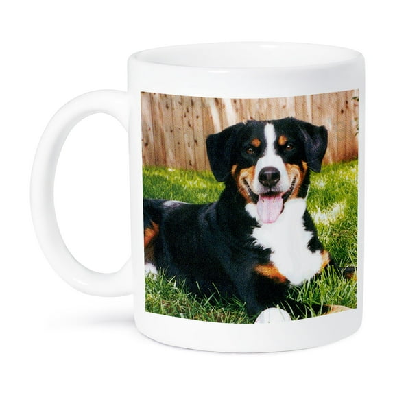 3dRose, Appenzeller Mountain Dog, 11oz Mug