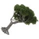 thumbnail image 1 of Árboles para micropaisajismo: Árbol en miniatura - Decoración vegetal para micropaisajismo - Adorno paisajístico para mesa de arena - Minipaisajismo, 1 of 7