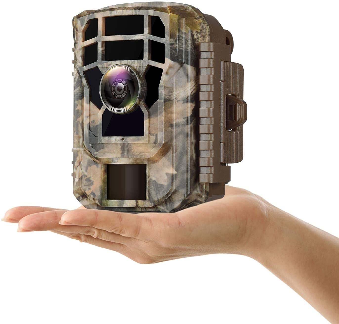 Campark Trail Camera Review