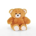 thumbnail image 1 of Mon 1er Chariot avec Ourson en Peluche, 1 of 5