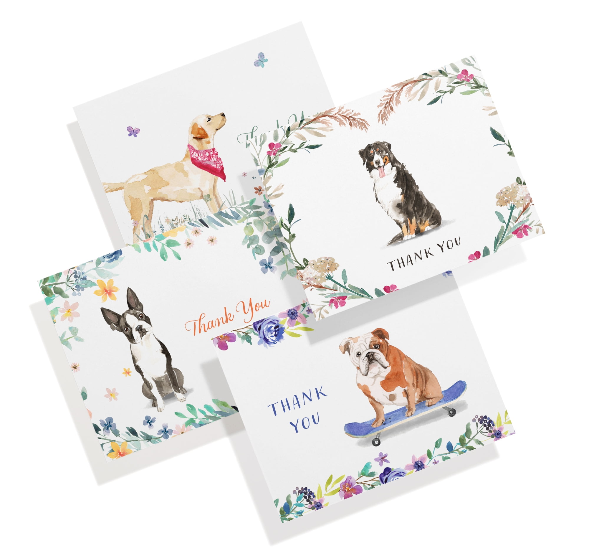 Twigs Paper - Dog Thank You Card Set - 12 Assorted Greeting Cards - Labrador Retriever, Boston Terrier, Bulldog, Mountain Dog, (5.5 x 4.25 Inch) with Envelopes - Eco Friendly - Made In USA