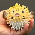 thumbnail image 4 of Ksopiavobs Realistic Pufferfish Figurine Plastic Wild Pufferfish Figurine Model for Collection Science Educational Prop, 4 of 5