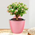 thumbnail image 5 of hostic 7 Pack Self Watering Wall Planter, Plastic Self Watering Pots Wall Hanging Planters,Indoor Outdoor Vertical Flower Pot for Succulent Plants and Small Flower Pots Plants (Size:L,Color:Pink), 5 of 5