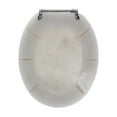 Ginsey Elongated Resin Decorative Toilet Seat with Chrome Hinges
