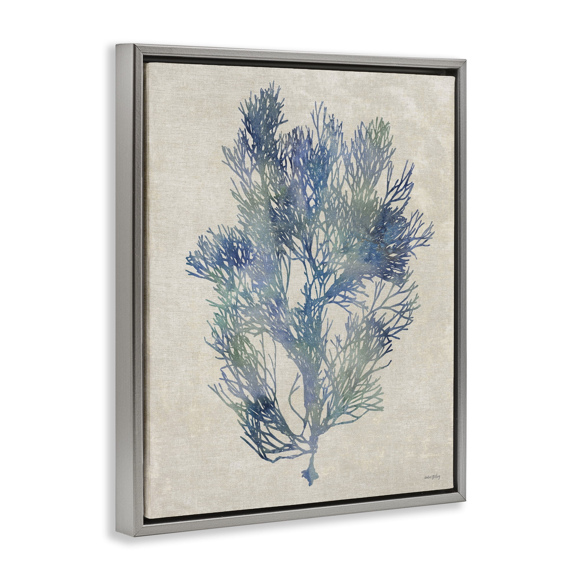 Stupell Industries Misty Blue Coral Study Gray Framed Floater Canvas Wall Art, design by Amber Sterling