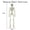 2pcs, variant on 15.8in Halloween Skeleton Decoration, Posable Skeleton Figure with Movable Joints, Full Body Skull Prop for Outdoor Yard, Haunted House Party and Spooky Home Decor