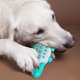 thumbnail image 5 of Juguete para perros con forma de cocodrilo, bola de comida con fugas, palo de limpieza de dientes molares, estilo 1 Kuyhfg Bienvenido a Kuyhfg, 5 of 5