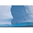 thumbnail image 2 of Paulson, Don 14x11 White Modern Wood Framed Museum Art Print Titled - South Georgia Island Albatross by an iceberg, 2 of 4