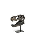 thumbnail image 2 of Mercana Jurassic 11.8"H  Black and Brown Resin Replica Tyrannosaurus Skull, 2 of 9