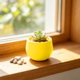 thumbnail image 4 of Round Mini Plastic Succulent Planter Pot, Colorful Small Desktop Flower Container, Lightweight Nursery Plant Pot For Cactus, Herb, Bonsai, Ideal For Home, Office, Balcony And Indoor Desktop Decor, 4 of 6