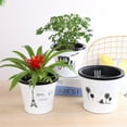 thumbnail image 3 of Flmtop Flowerpot Water Storage Function Anti-slip PP Smooth Surface Plant Pot Patio Decor, 3 of 8
