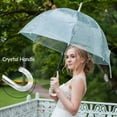 thumbnail image 5 of Clear Bubble Umbrella, Stick, 10 Pack, 5 of 7