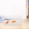 thumbnail image 4 of RENACLIPY Goldfish Bowls For Real Fish Transparent PET Oval Aquarium For Experienced Aquarists Office Decor 1Set, 4 of 8