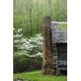 thumbnail image 2 of Flaherty, Dennis 13x18 White Modern Wood Framed Museum Art Print Titled - TN, Great Smoky Mts Log cabin and blooming trees, 2 of 4