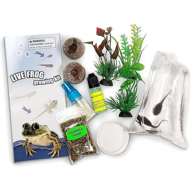 Nature Gift Store Live Tadpole to Frog Kit, Complete Habitat with