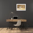 thumbnail image 3 of Goff, Ellen 18x13 White Modern Wood Framed Museum Art Print Titled - Japan-Hokkaido-Kushiro An adult red-crowned crane prepares to take flight, 3 of 4