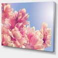 thumbnail image 2 of Fleurs de Magnolia sur Fond Ciel - Impression sur Toile Florale, 2 of 4