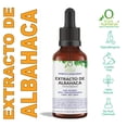 thumbnail image 1 of EXTRACTO DE ALBAHACA 60 ML VIVONATURAL. 100% NATURAL. ORGÁNICO., 1 of 4