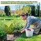thumbnail image 5 of 16 Paquetes de Cestas Protectoras de Raíz de Acero Inoxidable de 1 Galón para Proteger la Raíz de la Planta de las Tuzas, los y los Topillos Que Dañan la Raíz, 5 of 7