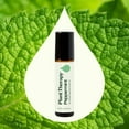 thumbnail image 2 of Plant Therapy Organic Peppermint Essential Oil 100% Pure, Pre-Diluted Roll-On, Natural Aromatherapy 10 mL (1/3 oz), 2 of 7