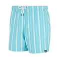 thumbnail image 3 of Regatta Shorts de Bain à Rayures pour Hommes Loras, 3 of 4