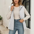 thumbnail image 2 of Gaexia Vest for Women ,Winter Lightweight Quilted Hooded Vest Warm Thin Padded Sleeveless Jacket Cozy Soft Lined Casual Fall Fashion Outerwear, 2 of 6