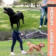 thumbnail image 4 of Correa para perros Roam Gear de 6 pies con 2 asas acolchadas para tamaños medianos y grandes, 4 of 9