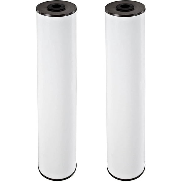 Pentair Pentek RFFE20-BB Big Blue Water Filter, 20-Inch, Whole House Radial Flow Iron Reduction Replacement Cartridge, 20" x 4.5", Pack of 2
