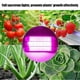 thumbnail image 4 of Full Spectrum COB LED Grow Light for Indoor Plants, 50W 220V Plant Lamp, 4 of 5