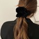 thumbnail image 4 of Coleteros de tela para el cabello, lazos elásticos de terciopelo para el cabello, accesorios de cuerda para mujeres, niñas, 10 piezas (negro), 4 of 5