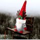 thumbnail image 5 of Adornos de gnomos de Navidad, Gnomo de Navidad sueco, Muñeca de Papá Noel sin rostro de Navidad, Astas Gnomo de Navidad Muñecas sin rostro Regalos Adornos, escanear, 5 of 5