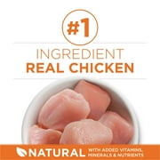Purina ONE, Healthy Weight Plus Ideal Weight With Chicken Dry Cat Food High Protein, Weight Control Formula, 16 lb Bag