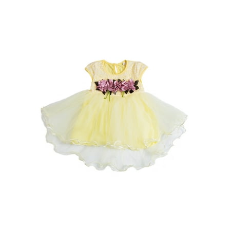 

Xiaoluokaixin Baby Girls TuTu Short Sleeve Mesh Multi-Layer Dress 6M-3Y