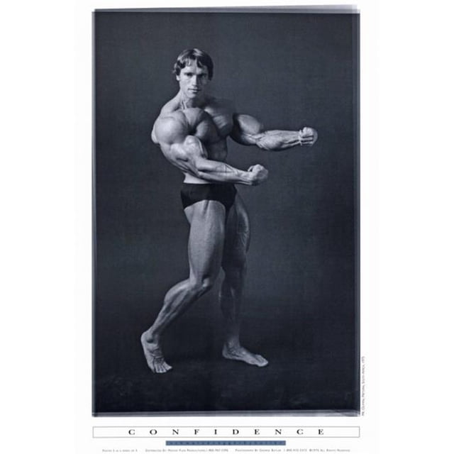 Arnold Schwarzenegger Movie Poster Print, 27 x 40