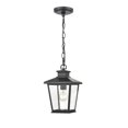 thumbnail image 4 of Millennium Lighting  Bellmon 1 Light Outdoor Hanging Lantern with Clear Glass Shade Powder Coat Bronze Bronze, 4 of 5