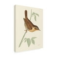 thumbnail image 2 of Wild Apple Portfolio 'Engraved Birds I' Canvas Art, 2 of 4