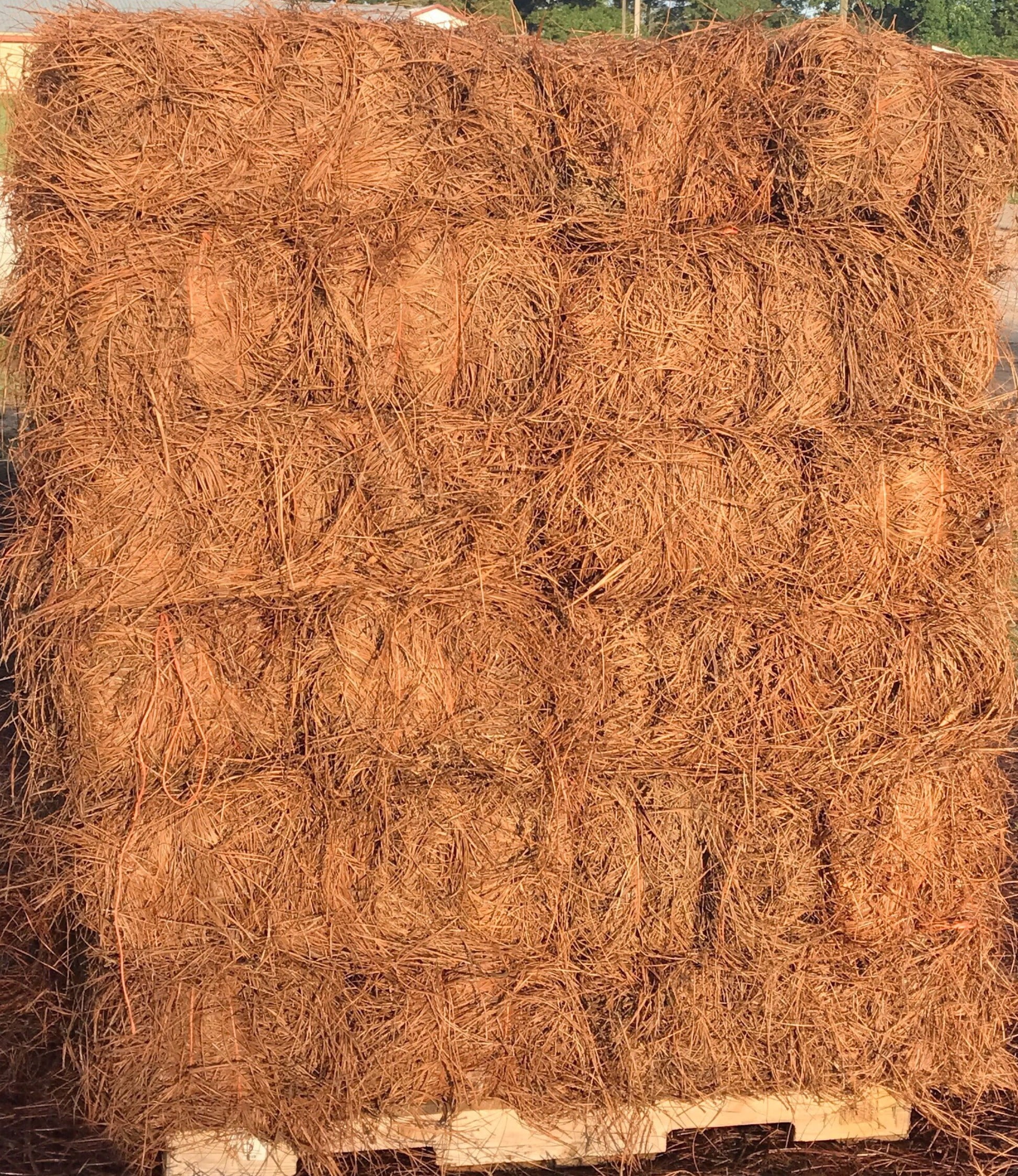 acdanc  Premium Long Needle | Pine Straw Mulch | Covers up to 2200 Sqft