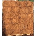 thumbnail image 2 of acdanc  Premium Long Needle | Pine Straw Mulch | Covers up to 2200 Sqft, 2 of 6