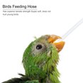 thumbnail image 2 of 3pcs Hose Young Birds Feeding Tool Feeding Medicine Supply for Bird Parrot Small Animals, 2 of 5