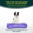 thumbnail image 3 of FitPAWS® K9FITbone® - Giant | Dog Balance Training Platform & Exercise Equipment | Workout Tool for Strength, Core & Stability - Violet, 3 of 5