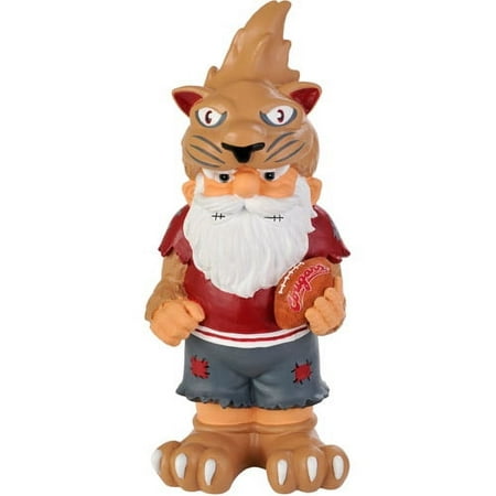Washington State Team Thematic Gnome