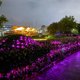thumbnail image 2 of Iluminación navideña, decoración exterior, red de pesca, malla, fiesta, boda, Navidad, cadena de luces LED, luz decorativa, 2 of 4