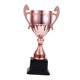 thumbnail image 4 of Trofeos de premio Trofeo pequeño para niños Copa de trofeo de premio para fútbol Fútbol Béisbol Cobre M, 4 of 9