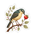 thumbnail image 6 of Realistic Bird Theme Stickers, Waterproof Bird Theme Sticker for Water Bottle Laptop Phone Cases Planner Skateboard Luggage Helmet Party Favor Decor, Ideal for Adults Teens Teacher Rewards, 6 of 9