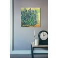 thumbnail image 3 of Epic Art 'Irises in Bloom II' by Tim O'Toole, Acrylic Glass Wall Art, 24"x24", 3 of 5
