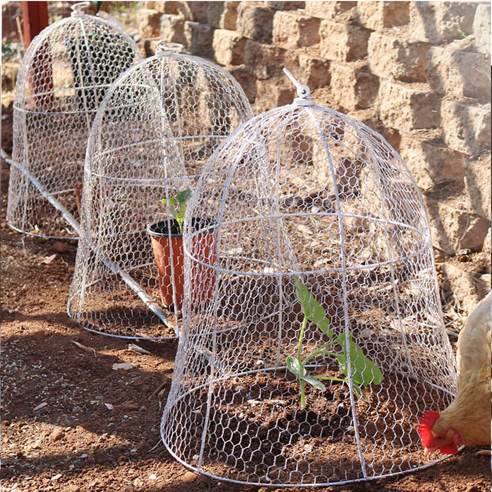 Chicken Wire Fence for Feeding Poultry, Protecting Plants, Prevent Animals