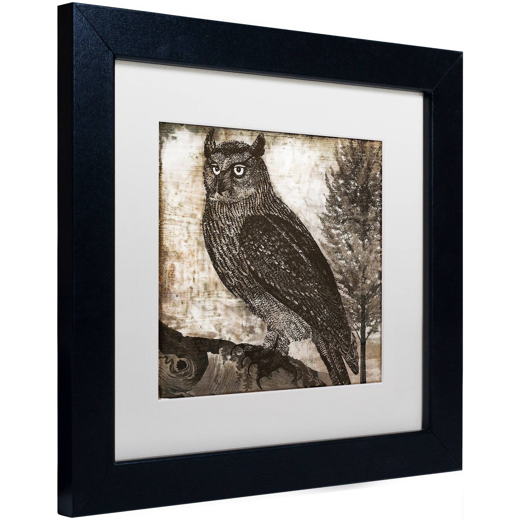 Trademark Fine Art "Owl 2" Canvas Art by Color Bakery White Matte, Black Frame