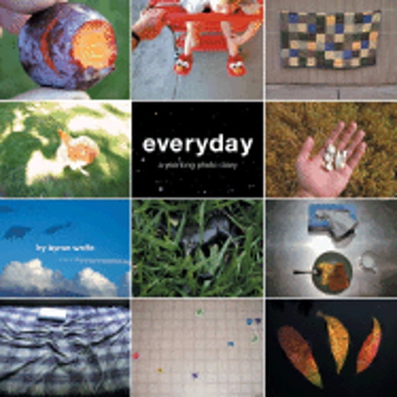 Pre-Owned Everyday: A Yearlong Photo Diary (Hardcover) 0811855279 9780811855273