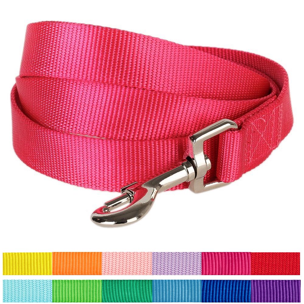 Blueberry Pet Durable Classic Nylon Dog Leash 4 ft x 1", French Pink